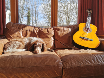 Sofa dog and guitar at Morags Lodge 
